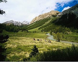 StarsWar12全民海选报名开启！海量奖金等你来拿！​